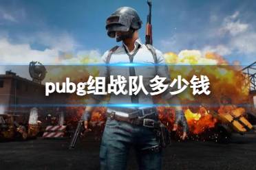 《pubg》组战队所需价格介绍