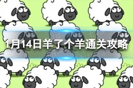 1月14日《羊了个羊》通关攻略 通关攻略第二关1.14