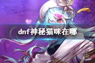 《dnf》神秘猫咪位置介绍