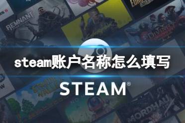 《steam》账户名称填写格式介绍