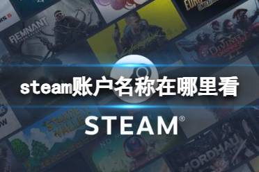 《steam》账户名称查看位置介绍