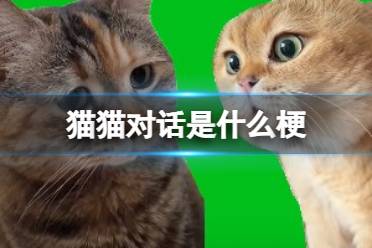 抖音猫猫对话梗来源出处