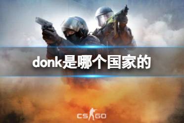 《csgo》选手donk国家介绍