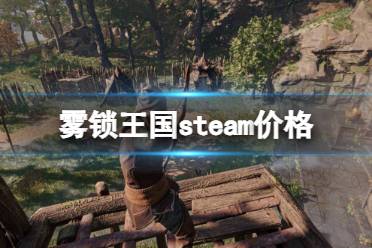 《雾锁王国》steam价格介绍