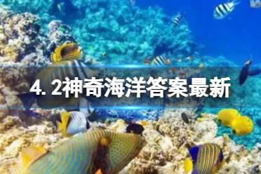 被称为“海瓜子”的海洋动物是 4.2神奇海洋答案最新