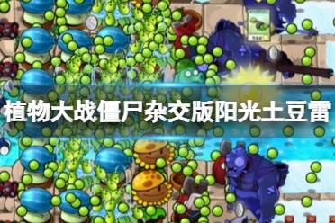 《植物大战僵尸杂交版》阳光土豆雷植物介绍