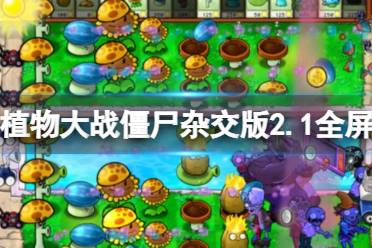 《植物大战僵尸杂交版》2.1版全屏方法